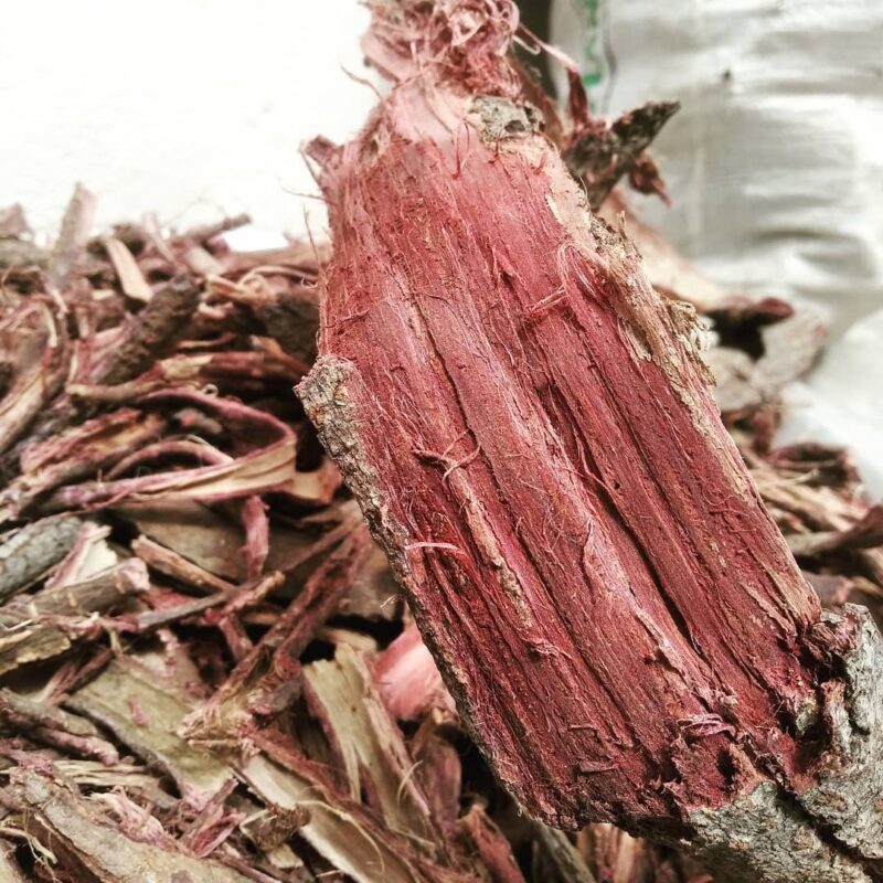 Mexican – Mimosa hostilis Inner Root Bark (MHRB) – Whole